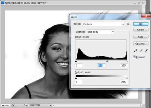 Hướng Dẫn Tách Tóc Trong Photoshop Bằng Channel