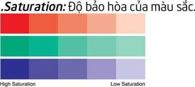 Chi tiết các thông số Setting trong Enscape Đặt Enscape