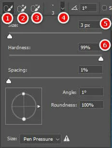 Cách Sử Dụng Quick Selection Tool Photoshop