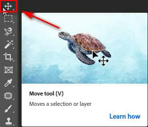 Cách sử dụng Move tool Photoshop Move Tool Photoshop
