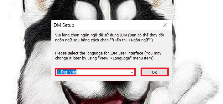 Tải Internet Download Manager (Idm) Miễn Phí Mới Nhất