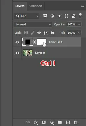 Công Cụ Chỉnh Sửa Màu Trong Photoshop