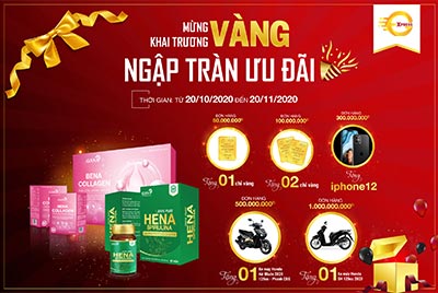 Khóa học thiết kế đồ họa 2D combo Khóa Học Thiết Kế Đồ Họa 2D Combo