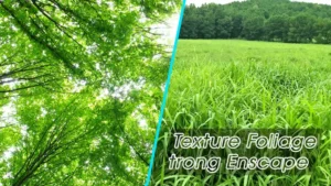 Hướng Dẫn Sử Dụng Pen Tool Photoshop
