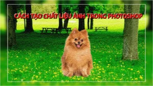 Hướng Dẫn Sử Dụng Pen Tool Photoshop
