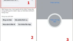 Hướng Dẫn Sử Dụng Pen Tool Photoshop