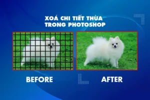 Hướng Dẫn Sử Dụng Pen Tool Photoshop