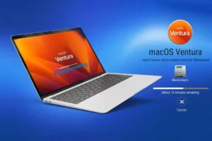 Hướng Dẫn Sử Dụng Pen Tool Photoshop